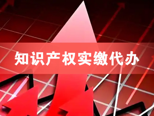 百色知识产权实缴资本代办